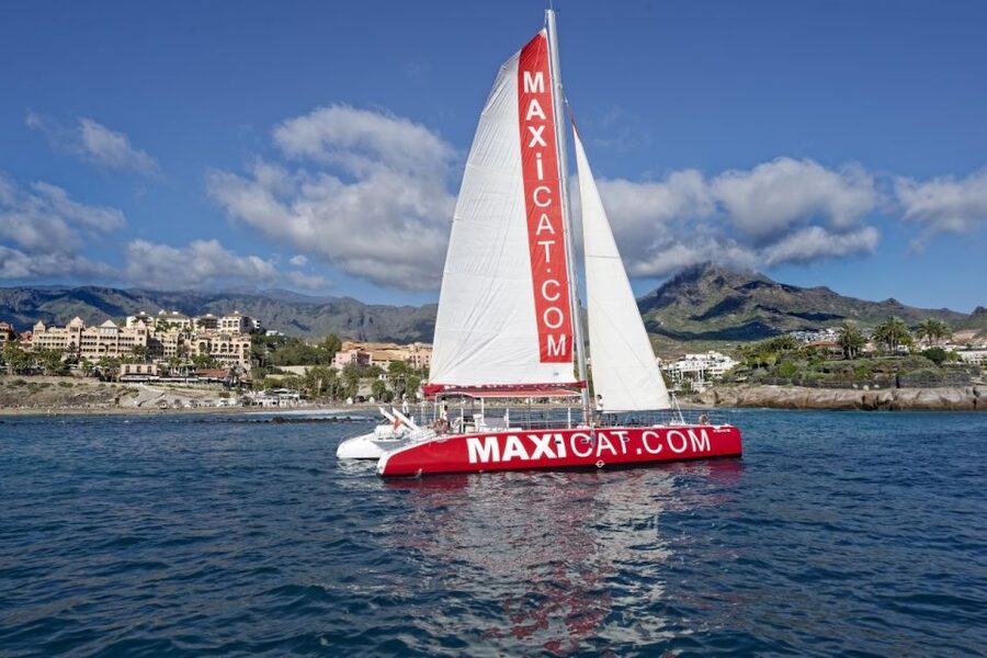 Costa Adeje: Whale and Dolphin Cruise with Food and Pickup - Practical tips that make the day easier