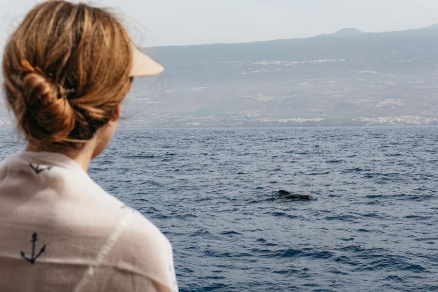 Costa Adeje: Whale & Dolphin Eco-Cruise with Snacks & Drinks - Key takeaways before you go