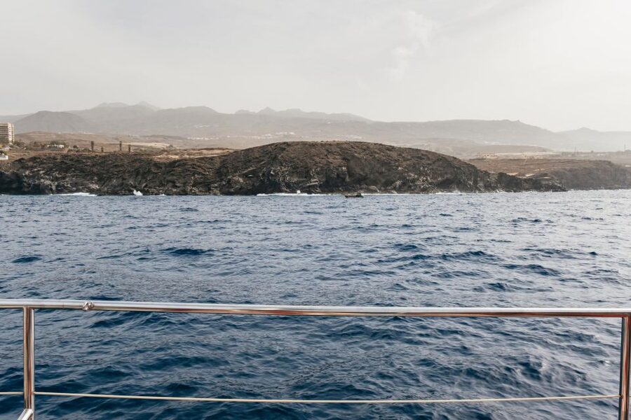 Costa Adeje: Whale & Dolphin Eco-Cruise with Snacks & Drinks - Seasickness reality check, and how to handle it
