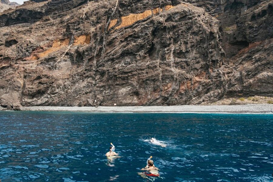 Costa Adeje: Whale & Dolphin Eco-Cruise with Snacks & Drinks - Tenerife’s dolphin and whale cruise, not a circus