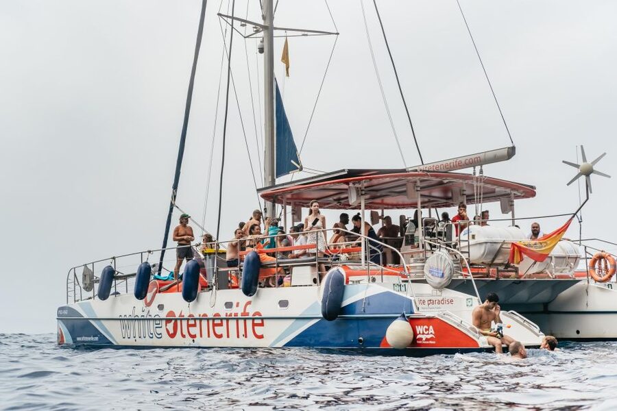 Costa Adeje: Whale & Dolphin Eco-Cruise with Snacks & Drinks - The cruise rhythm: spotting, learning, then listening underwater