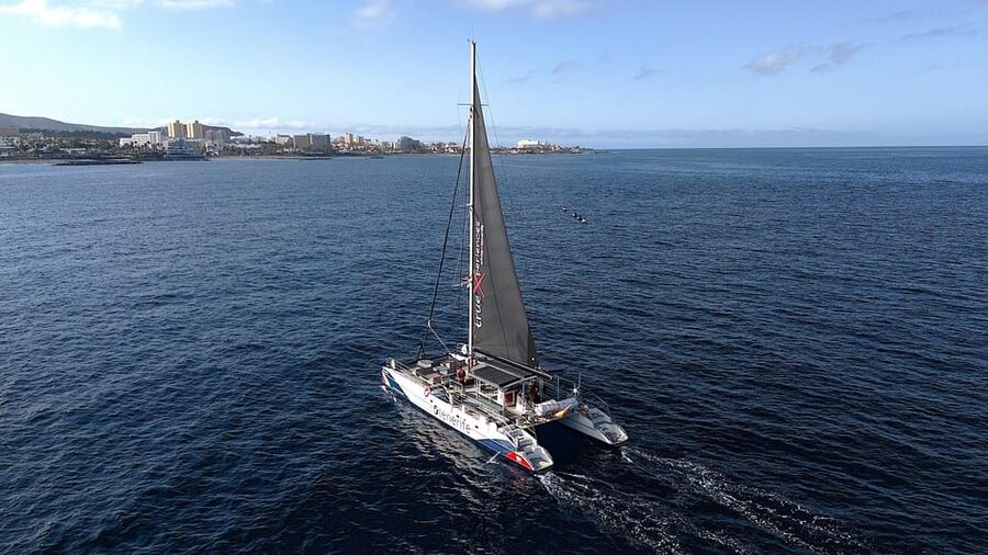 Costa Adeje: Whale & Dolphin Eco-Cruise with Snacks & Drinks - 3-hour vs 5-hour: how the extended option changes the day