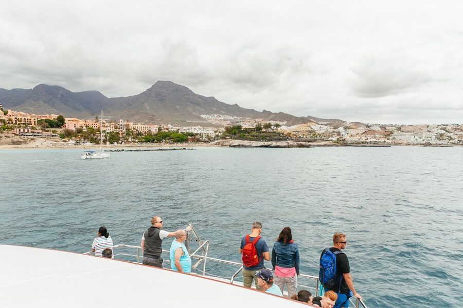 Costa Adeje: Whale & Dolphin Submarine Vision Mini Cruise - Quick hits before you sail