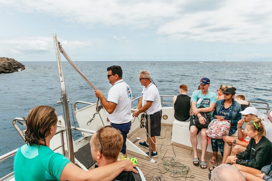 Costa Adeje: Whale & Dolphin Submarine Vision Mini Cruise - The guided talk and safety vest demo that set the tone