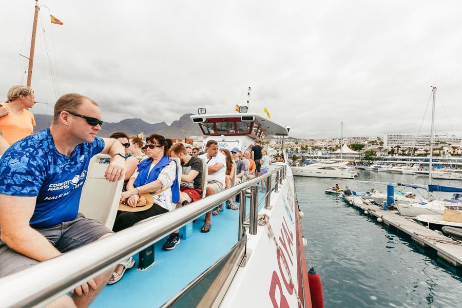 Costa Adeje: Whale & Dolphin Submarine Vision Mini Cruise - Price and value: why about $35 can work for 2 hours
