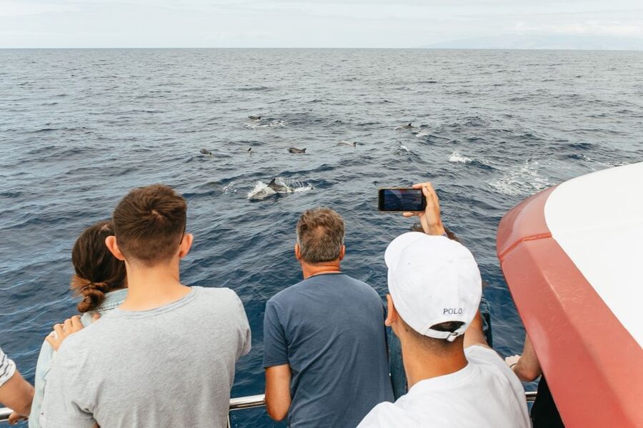 Costa Adeje: Whale & Dolphin Submarine Vision Mini Cruise - What to pack so your day feels easy