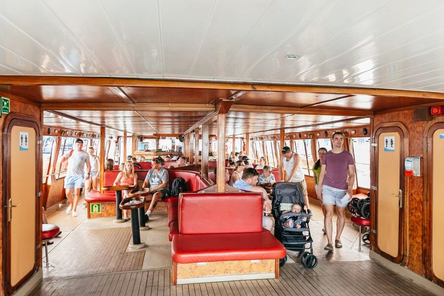 Costa Adeje: Whale & Dolphin Submarine Vision Mini Cruise - Who should book this mini cruise, and who should reconsider