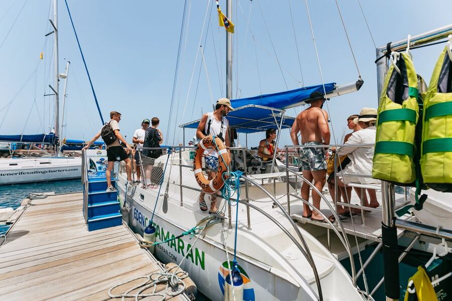 Costa Adeje: Whale Watching Catamaran Tour with Drinks - Price and value: why $41 feels fair