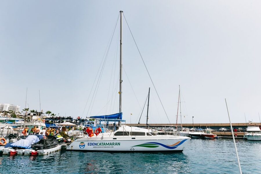 Costa Adeje: Whale Watching Catamaran Tour with Drinks - The 2-hour experience: what it does best