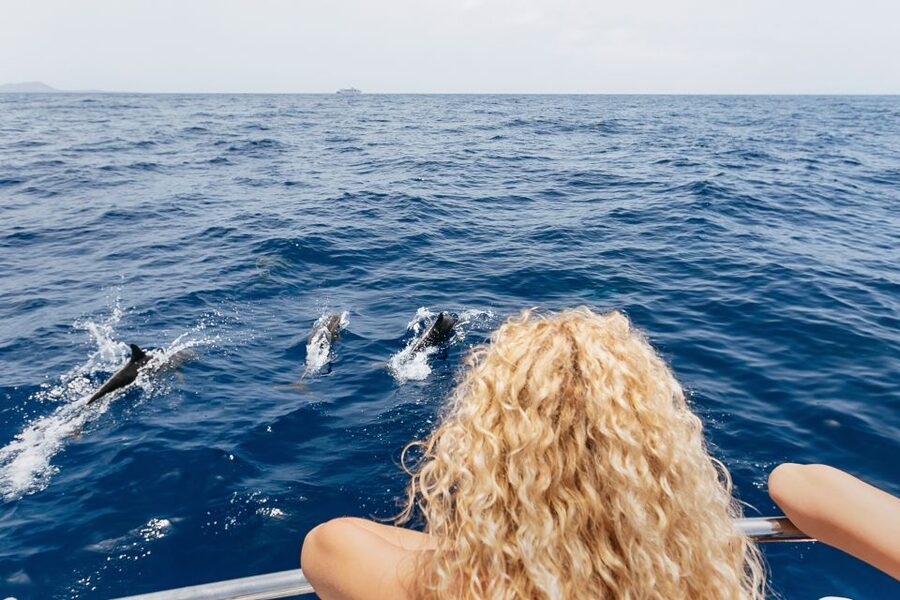 Costa Adeje: Whale Watching Catamaran Tour with Drinks - The 3-hour option: snorkeling at Playa Espagueti