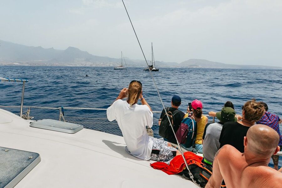 Costa Adeje: Whale Watching Catamaran Tour with Drinks - Animals first: how the crew keeps distances and timing fair