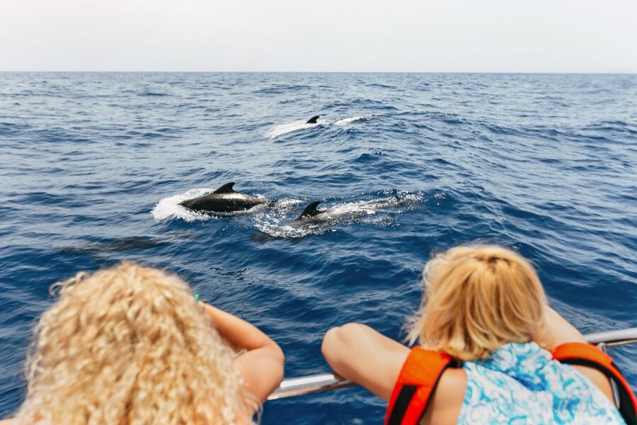 Costa Adeje: Whale Watching Catamaran Tour with Drinks - Why pilot whales show up so often here