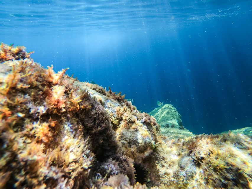Costa Brava: Sea Caves Kayaking and Snorkeling Tour - Photos, lockers, and the little value-adds you will notice later