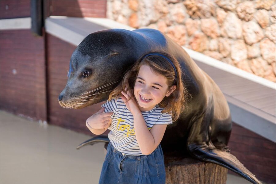 Costa d'en Blanes: Entry Ticket for Marineland Mallorca - Aviary with flamingos and Humboldt penguins: birds up close