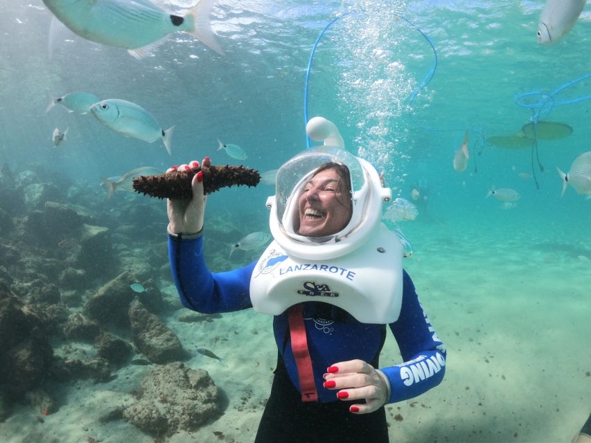 Costa Teguise : Underwater Sea Trek Experience - What you’ll see: fish up close, even when visibility isn’t perfect
