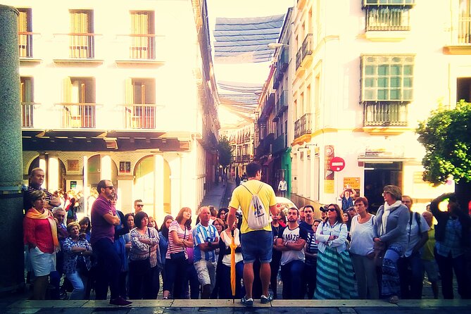 Cultural Walking Tour of Seville Monumental - A quick orientation walk through Seville’s biggest sights