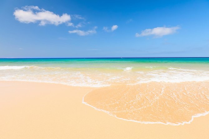 Day trip to Fuerteventura from Lanzarote - Corralejo Harbor Return Timing, Choppy Water, and Bus Breaks