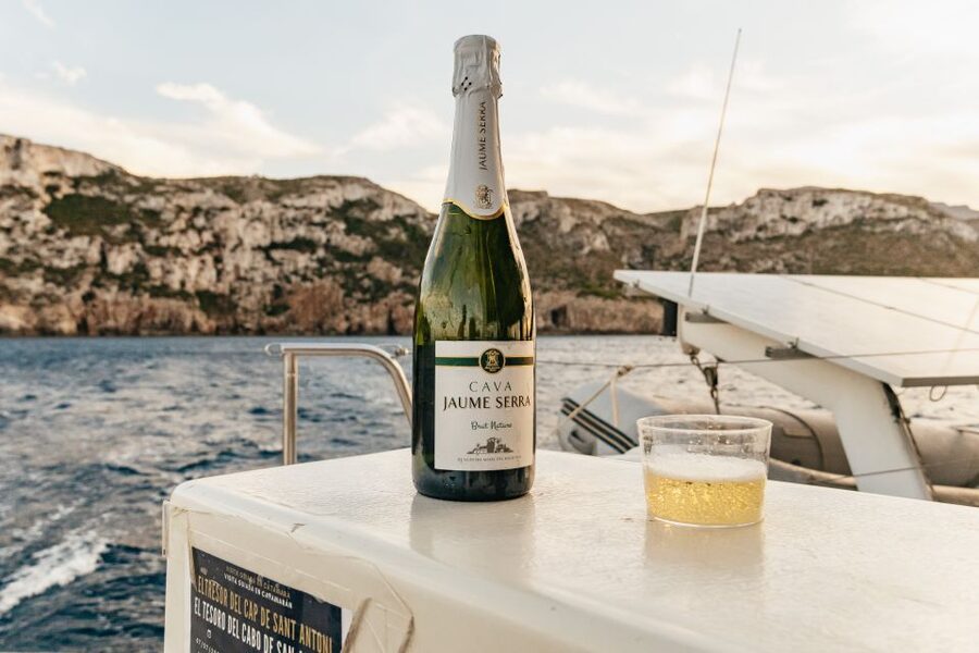 Dénia: Daytime or Sunset Catamaran Cruise - The Swimming Stop: The Fun Break, and How It Works