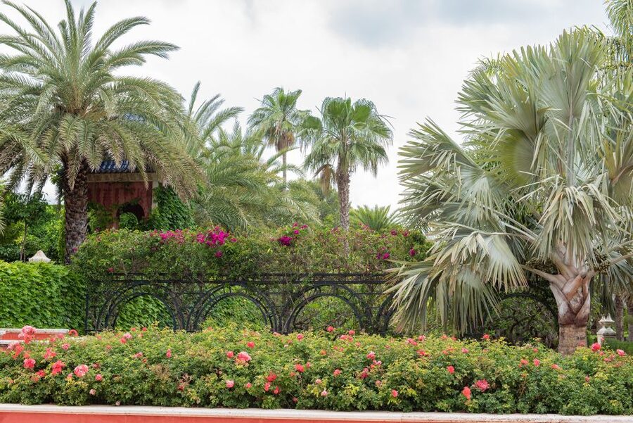 Denia: L'Albarda Garden Entry Ticket - Arab-Inspired Layout Meets Renaissance Touches