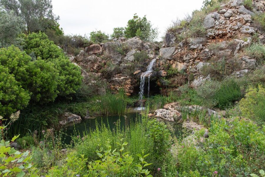 Denia: L'Albarda Garden Entry Ticket - Price and Entry Flow: What Your $8 Buys