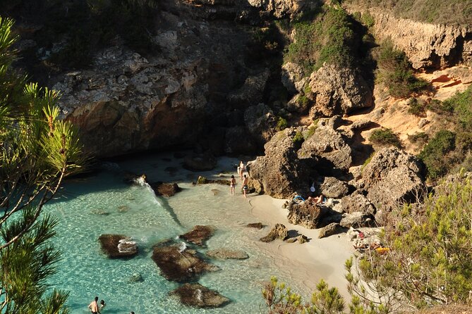 Discover Cala des Moro and S’Almunia the smart way - Transport comfort: an air-conditioned vehicle for the middle of the day