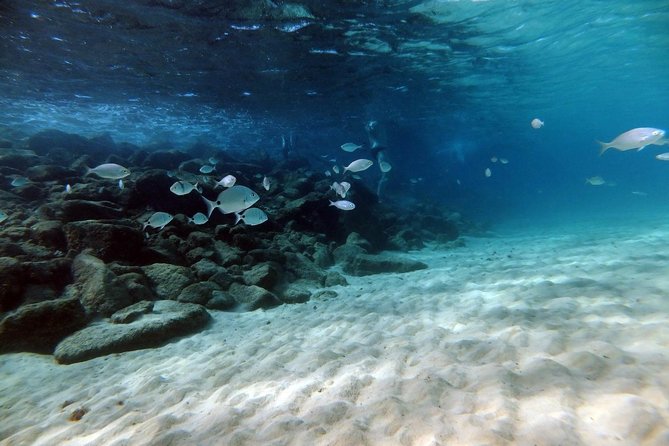 Discover Scuba Diving in Lanzarote (Costa Teguise) - Shore Entry From Playa del Jablillo, Then Playa Chica Beach