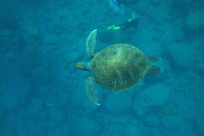 Discover Scuba Diving in Tenerife - Key things to know before you go