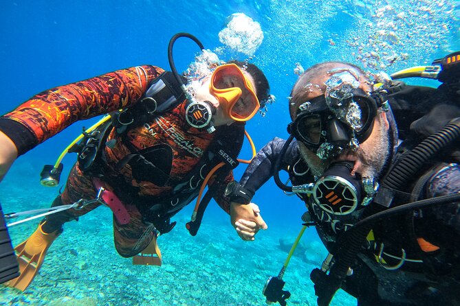 Discover Scuba Diving in Tenerife - Tenerife’s La Caleta Bay, a calm start for new scuba students