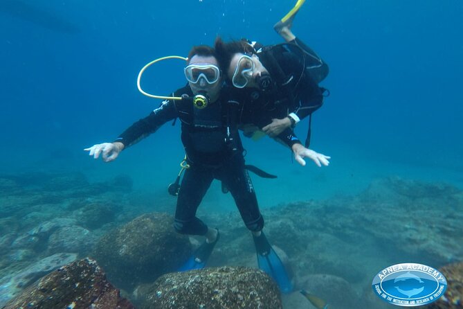 Discover Scuba Diving in Tenerife - The 35-minute briefing that makes first-timers feel safe