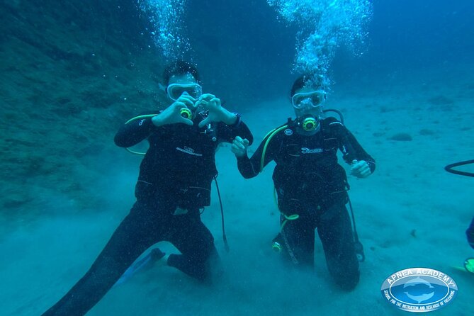 Discover Scuba Diving in Tenerife - Arrival, welcome, and the small-group feel in Abades