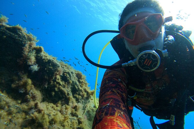 Discover Scuba Diving in Tenerife - La Caleta Bay: where the learning happens with real marine life