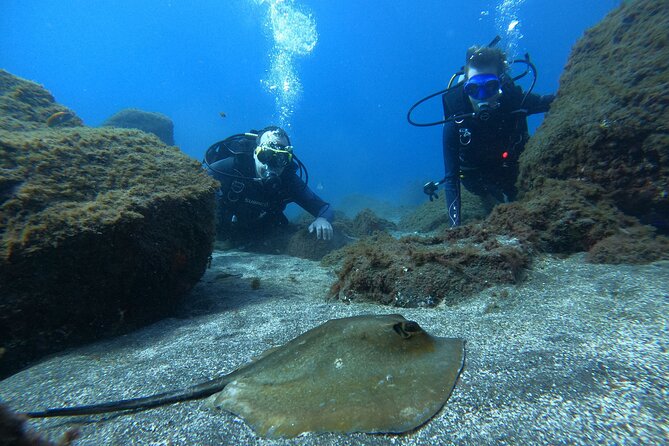 Discover Scuba Diving in Tenerife - Instructors you might meet, and how they teach