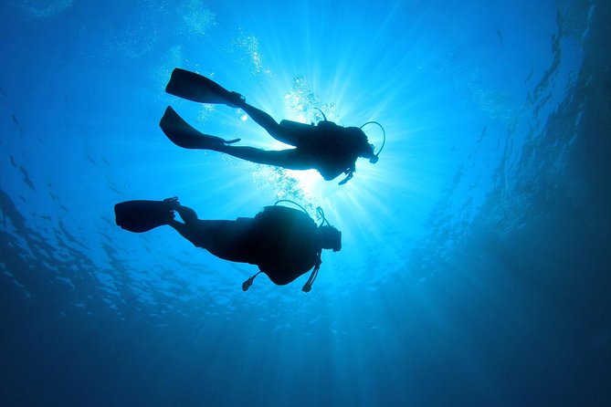 Discover Scuba Diving in Tenerife - Price and what you actually get for $78.64