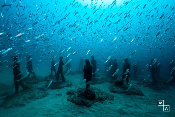 Discover the underwater world of Lanzarote - Key things I think you will like most