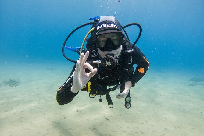 Discover the underwater world of Lanzarote - Price check: $156.01, and what makes it better value than it looks