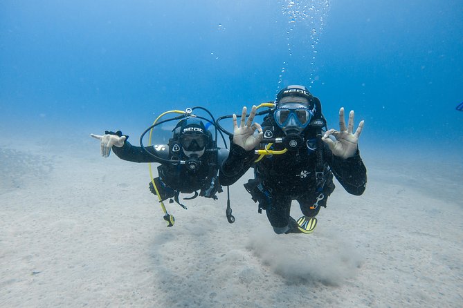Discover the underwater world of Lanzarote - Practical details that make the session go smoothly