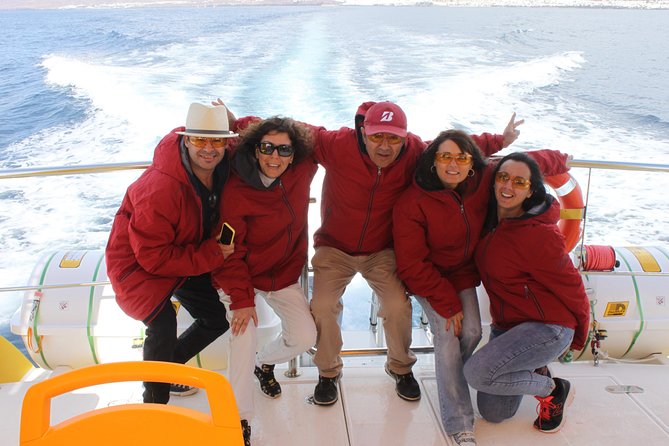 Dolphin Mini Cruise at Playa del Carmen - Where you look for dolphins and whales off Lanzarote