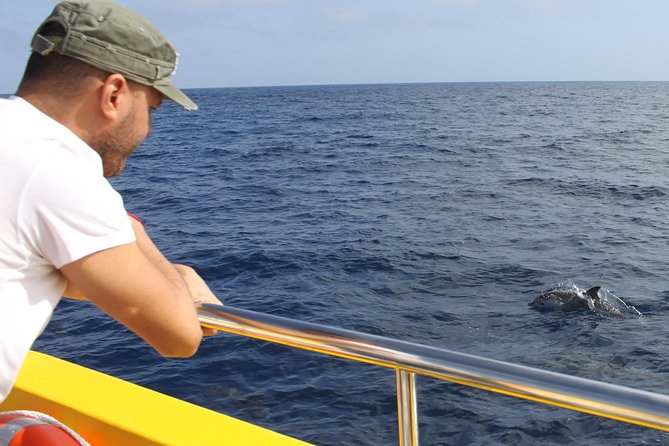 Dolphin Mini Cruise at Playa del Carmen - Price and value: is $42.05 a fair deal?