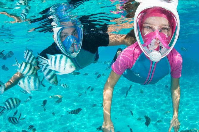 Dolphin Mini Cruise at Playa del Carmen - Who this works best for in Lanzarote