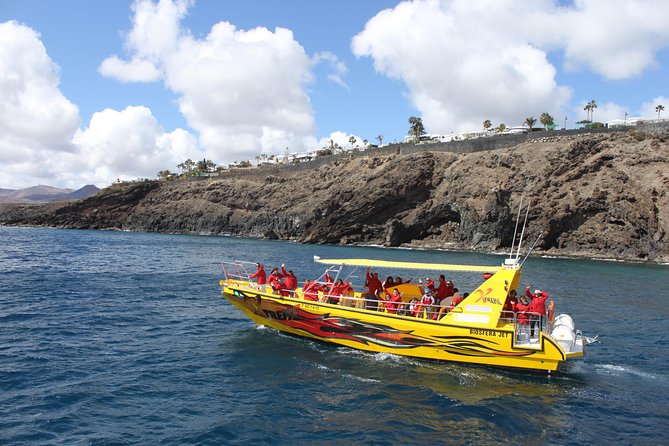 Dolphin Mini Cruise at Playa del Carmen - The swim and snorkel part: included, but plan for timing
