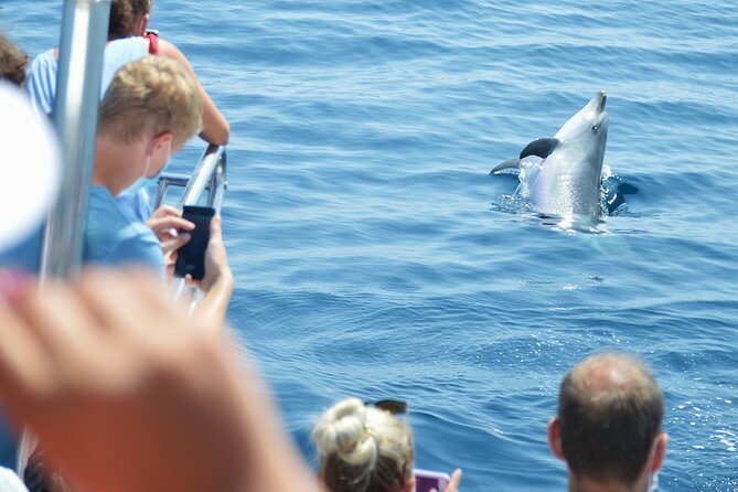 Dolphin Sightseeing Boat Tour from Benalmadena - Value for the Money: Is $22.93 a Good Deal?