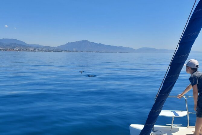 Dolphin trips on a catamaran - Swimming in high seas: what to bring (and what can stop it)
