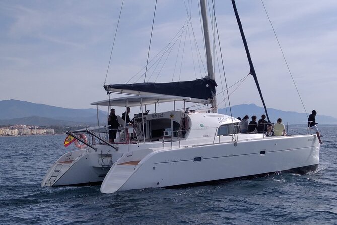 Dolphin trips on a catamaran - Onboard comfort and the crew who make it feel easy