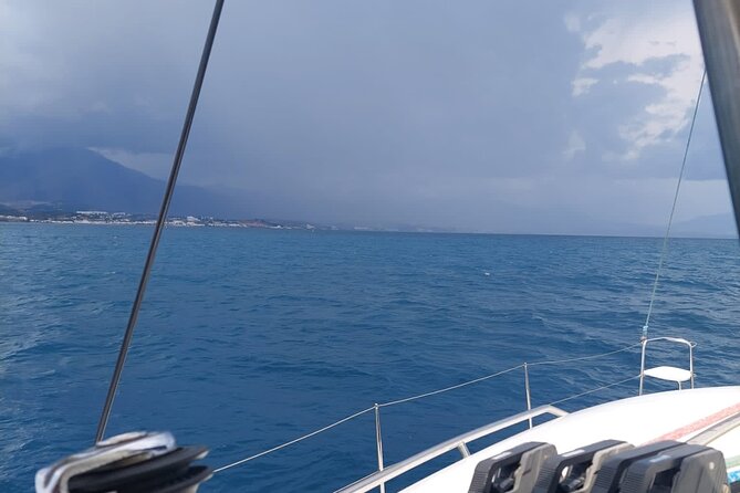 Dolphin trips on a catamaran - Should you book this dolphin catamaran ride?