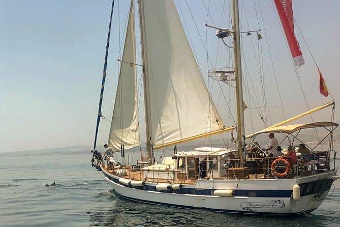 Dolphin Watching Adventure in Estepona Bay - Estepona Bay dolphin watching is the whole point