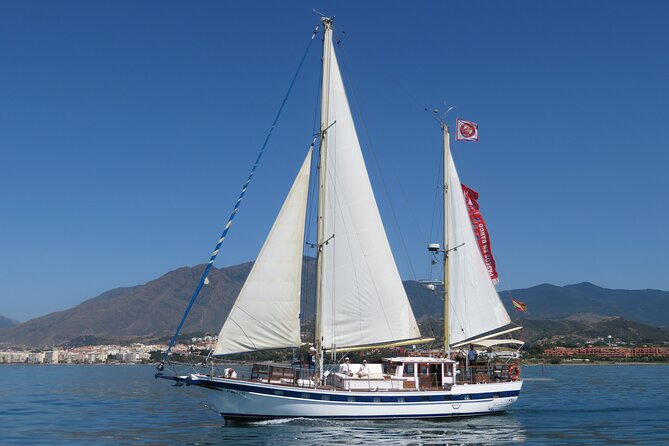Dolphin Watching Adventure in Estepona Bay - Velero Intrepido: why a small sailboat changes the experience