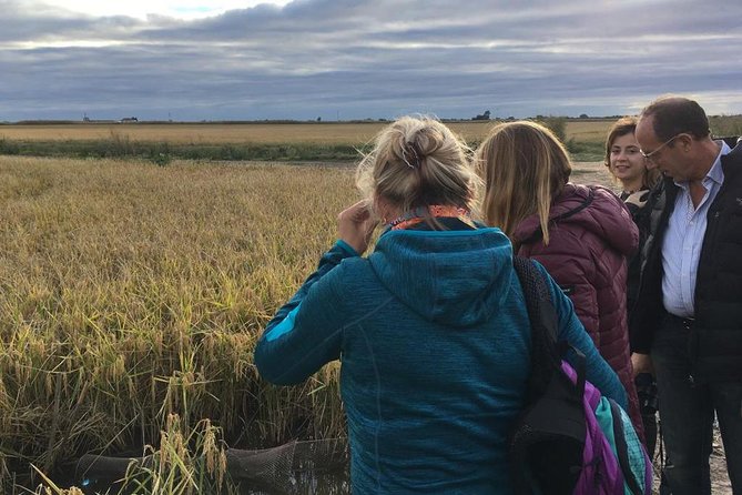 Donana National Park and El Rocío: Guided Tour from Seville - Dehesa de Abajo and El Rocío village: storks, chapel, and sandy streets
