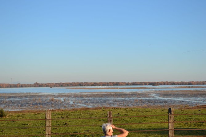 Donana National Park and El Rocío: Guided Tour from Seville - La Rocina walk, Palacio del Acebrón, and the learning stops that make it click
