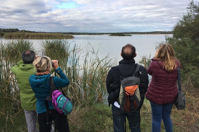 Donana National Park and El Rocío: Guided Tour from Seville - Matalascanas dunes and beach time at the Atlantic edge