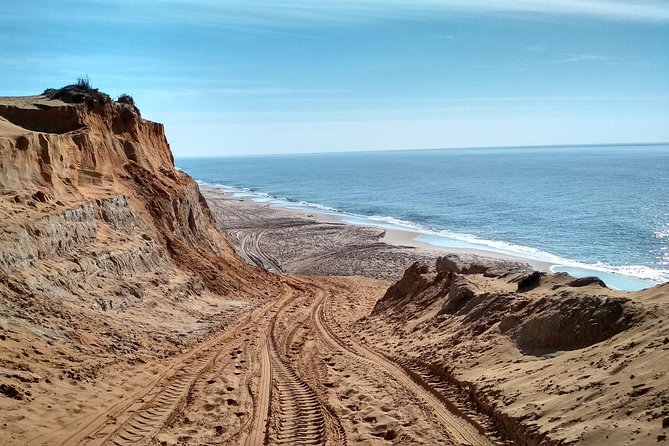 Donana National Park and El Rocío: Guided Tour from Seville - The 4x4 return and the wildlife reality check